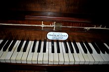 Biserica reformata, Savadisla , Foto: WR