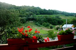 Pensiunea Stefanut, Scrind-Frasinet , Foto: WR