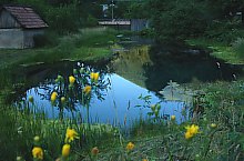 Topleț vízkitörés, Remec , Fotó: WR