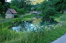 Topleț vízkitörés, Remec , Fotó: WR