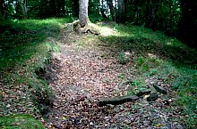 Cetatea, Albesti , Foto: Szabó Tibor