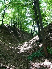 Cetatea, Albesti , Foto: Szabó Tibor