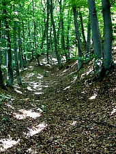 Cetatea, Albesti , Foto: Szabó Tibor