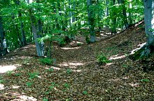 Cetatea, Albesti , Foto: Szabó Tibor