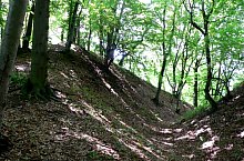 Cetatea, Albesti , Foto: Szabó Tibor