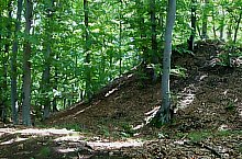 Cetatea, Albesti , Foto: Szabó Tibor