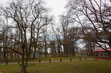 Hoghiz, Foto: Cristache Kinga