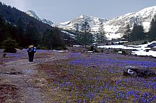 Cabana V.Sâmbetei - Fereastra Mare, Foto: Bereczki Barna