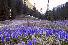 Cabana V.Sâmbetei - Fereastra Mare, Foto: Bereczki Barna