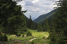 Cabana Valea Sâmmbetei - Șaua Răcorele, Foto: Bereczki Barna