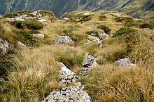 Cabana Valea Sâmmbetei - Șaua Răcorele, Foto: Andrei Bazar