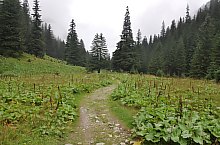 Traseul Cabana Valea Sambetei - Fereastra Mica, Muntii Fagaras, Foto: Paul Ion