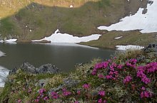 Portița Iezerului - Urlea lake - Mosu saddle hiking trail, Făgăraș mountains, Photo: Răzvan Popa