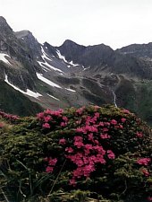 Traseul Vistisoara - Saua Racorele, Muntii Fagaras, Foto: Matei Laudoniu
