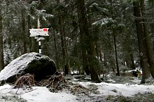 Traseul Valea Sambetei - Poiana Lespezi, Muntii Fagaras, Foto: Marius Mihai
