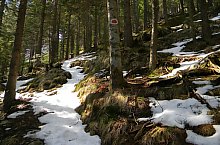 Traseul Valea Sambetei - Poiana Lespezi, Muntii Fagaras, Foto: Marius Mihai