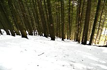 Traseul Valea Sambetei - Poiana Lespezi, Muntii Fagaras, Foto: Marius Mihai