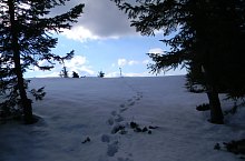 Traseul Valea Sambetei - Poiana Lespezi, Muntii Fagaras, Foto: Marius Mihai