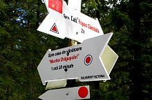 Traseul Valea Sambetei - Poiana Lespezi, Muntii Fagaras, Foto: Marius Mihai