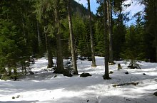 Traseul Valea Sambetei - Poiana Lespezi, Muntii Fagaras, Foto: Marius Mihai