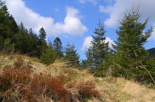Traseul Valea Sambetei - Poiana Lespezi, Muntii Fagaras, Foto: Marius Mihai