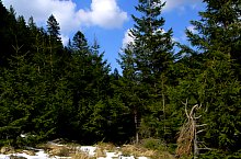 Traseul Valea Sambetei - Poiana Lespezi, Muntii Fagaras, Foto: Marius Mihai