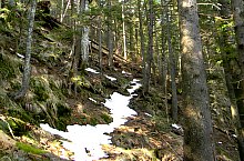 Traseul Valea Sambetei - Poiana Lespezi, Muntii Fagaras, Foto: Marius Mihai