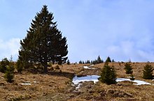 Sebeș - Vârful Pietriceaua, Foto: Marius Mihai