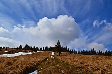 Sebeș - Vârful Pietriceaua, Foto: Marius Mihai