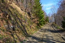 Sebeș - Vârful Pietriceaua, Foto: Marius Mihai