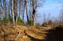 Sebeș - Vârful Pietriceaua, Foto: Marius Mihai