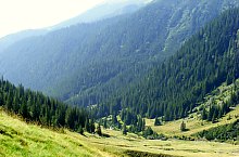 Traseul Valea Topologului - Saua Scarii, Muntii Fagaras, Foto: Cornel Găvănescu