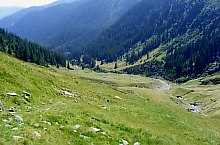 Traseul Valea Topologului - Saua Scarii, Muntii Fagaras, Foto: Cornel Găvănescu