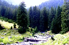 Traseul Valea Topologului - Saua Scarii, Muntii Fagaras, Foto: Cornel Găvănescu