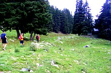 Traseul Valea Topologului - Saua Scarii, Muntii Fagaras, Foto: Cornel Găvănescu