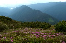 Urlea glade - Mogoșului saddle hiking trail, Făgăraș mountains, Photo: Răzvan Popa