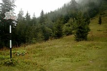 Traseul Poiana Urlea - Curmatura Zarnei, Muntii Fagaras, Foto: Victor Nascov