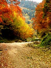 Traseul Vistisoara - Saua Racorele, Muntii Fagaras, Foto: Dan Caba