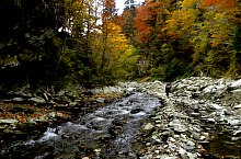 Traseul Vistisoara - Saua Racorele, Muntii Fagaras, Foto: Dan Caba