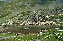 Traseul Vistisoara - Saua Racorele, Muntii Fagaras, Foto: Horațiu Dobrilă