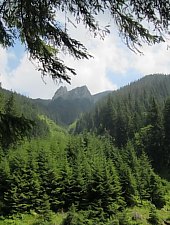 Valea Sâmbătei - Piatra Caprei - La Cruce, Foto: Laureniu Barza