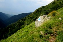 Valea Sâmbătei - Piatra Caprei - La Cruce, Foto: Laureniu Barza