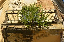 Vigado, Miercurea Ciuc, Foto: WR