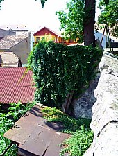 Cetatea Atacata de Secui, Odorheiu Secuiesc, Foto: Kovács Lajos