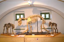 Muzeul Haáz Rezső, Odorheiu Secuiesc, Foto: Csedő Attila