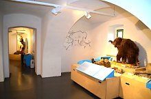 Muzeul Haáz Rezső, Odorheiu Secuiesc, Foto: Csedő Attila