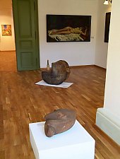 Muzeul Haáz Rezső, Odorheiu Secuiesc, Foto: Csedő Attila