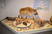 Muzeul Haáz Rezső, Odorheiu Secuiesc, Foto: Csedő Attila