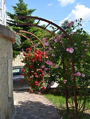 Vila Raze de Soare - Mini gradina botanica, Oradea, Foto: WR