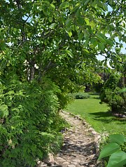 Vila Raze de Soare - Mini gradina botanica, Oradea